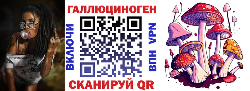 Псилоцибиновые грибы Magic Shrooms  Купить  Богородск 